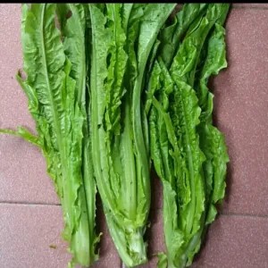 Sayur Siomak