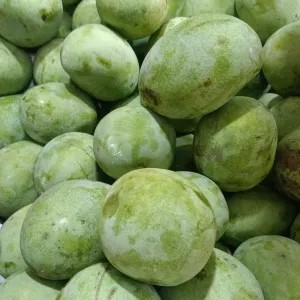 mangga manalagi super