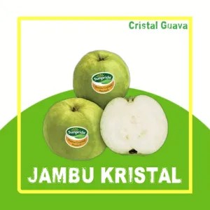 Jambu Kristal Sunpride