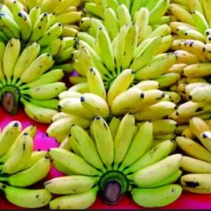 pisang mas per sisir