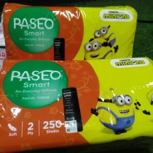Paseo 250Sheet