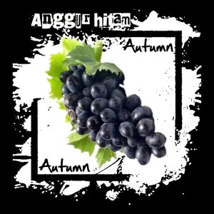 ANGGUR HITAM AUTUMN NON BIJI 500gr