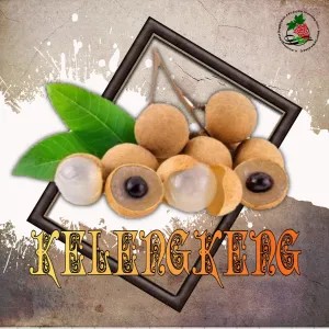 KELENGKENG BANGKOK