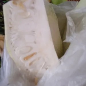 nangka/cecek