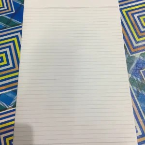 Double Folio/ Folio bergaris