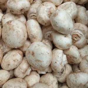 Jamur Kancing 1 Kg 1kg