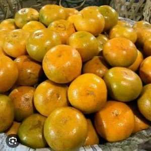 JERUK MEDAN SUPER 1kg