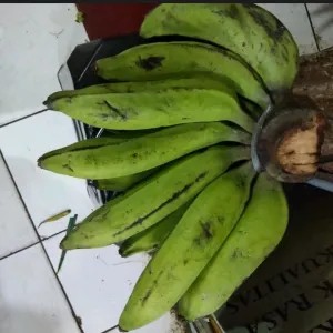 PISANG AMBON IJO 1per pack