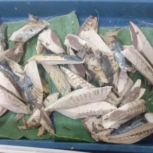 tongkol Cue/potong
