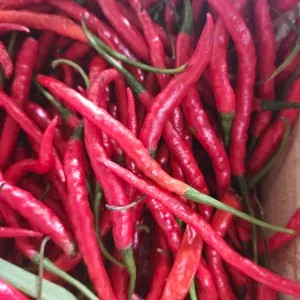 Cabe Merah 1KG 1kg