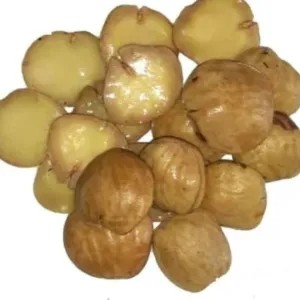 Jengkol tua rebus