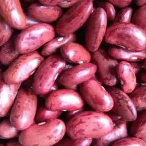 kacang merah kering 1 kg, 500g, 250g, atau 65g