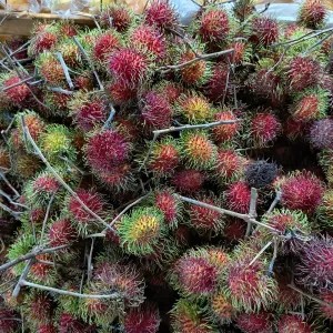 Rambutan Binjai 1kg