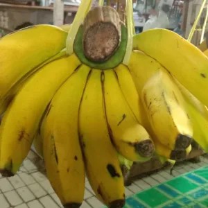 pisang Ambon Sukabumi 1sisir 1per pack
