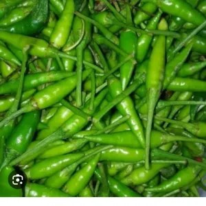 cabe rawit ijo 1kg