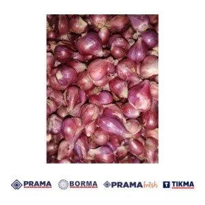 BAWANG BOMBAY MERAH CURAH (0.8-1kg)