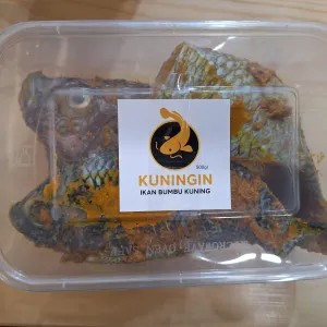 IKAN MUJAIR BUMBU KUNING 1kg