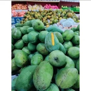 mangga gadung setengah matang