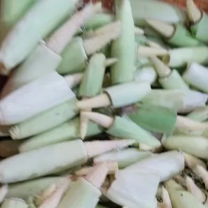 jagung muda putren 1kg
