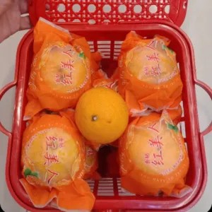 jeruk aiyuan jelly Giftpack 10per pack