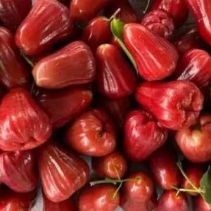 jambu air merah 1 kg