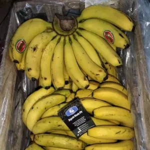 pisang Ambon Sukabumi besar 1per pack
