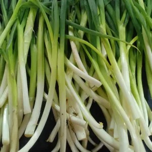 Daun Bawang Sudah Bersih