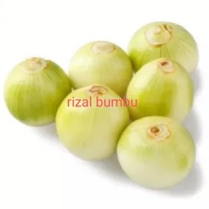 Bawang Bombay kupas 500g