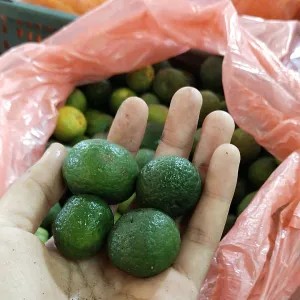 JERUK LIMAU 1kg