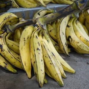 Pisang Tanduk 1kg