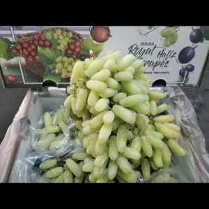 Anggur Hijau Jari 1kg