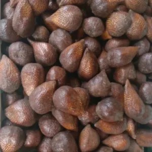 Salak Pondoh 1kg