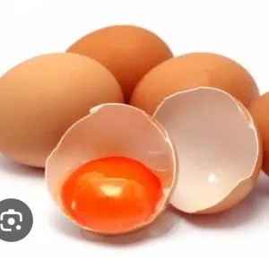 Telor omega 1 kg 1kg