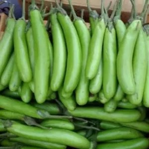 TERONG HIJAU BESAR 1 Kg