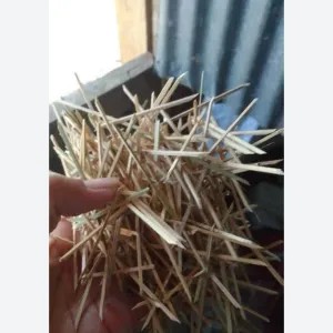Biting Bambu 1per pack
