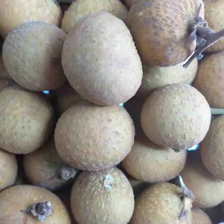 Buah Kelengkeng 1Kg