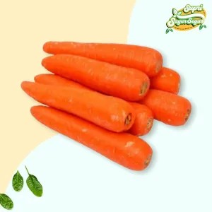 WORTEL BERASTAGI MEDAN