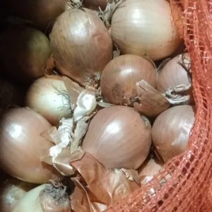 Bawang Bombay 1kg