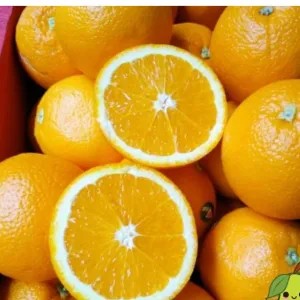 jeruk sunkist 1 kg
