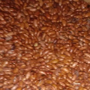 kacang merah kering