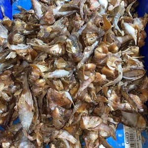 Ikan Asin Bulu Bebek 100g