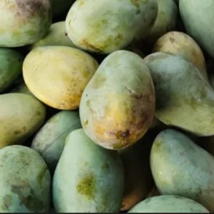 MANGGA HARUM MANIS 1kg