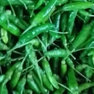 Cabe Rawit - 1 Kg