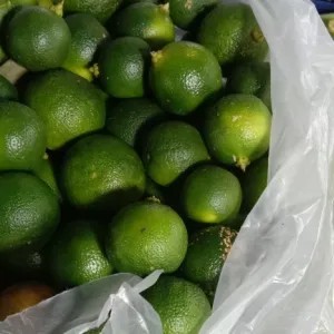 jeruk kasturi(jeruk limau) 250g