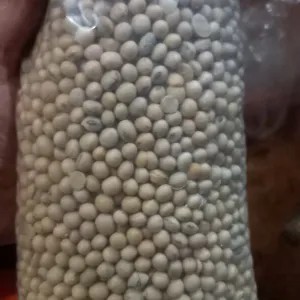 kacang kedelai 1kg