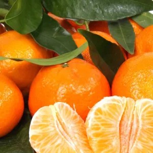 jeruk Mandarin 1kg