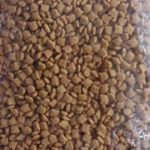 Universal Kitten 1Kg