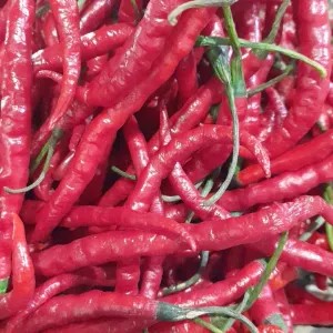 CABE KRITING MERAH 1kg