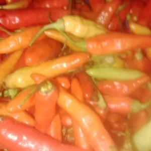 cabe setan ori 50g