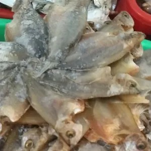 ikan asin sepat kipas 100g